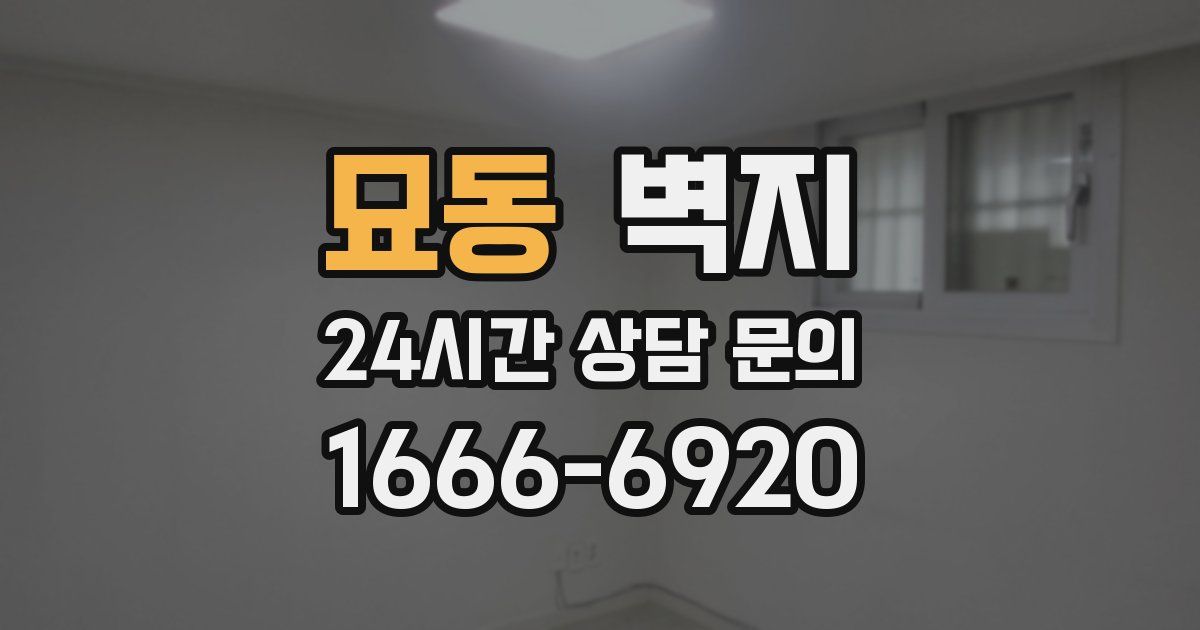 묘동 벽지