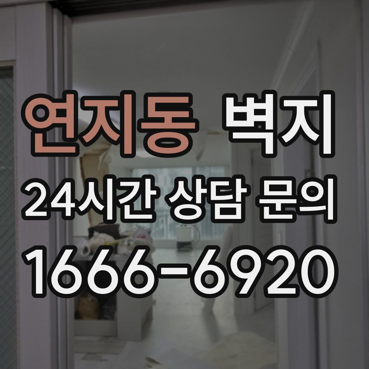 연지동 벽지