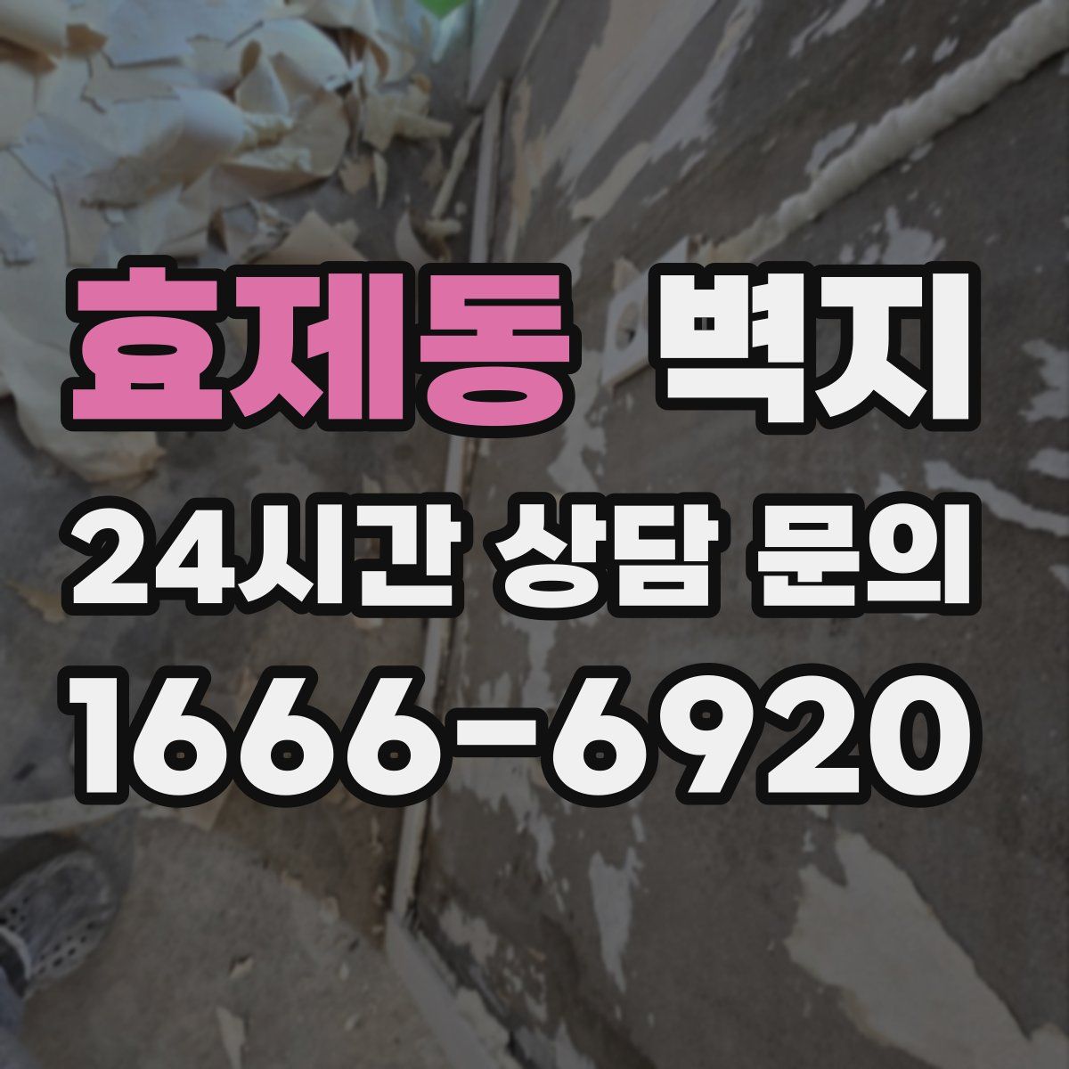 효제동 벽지