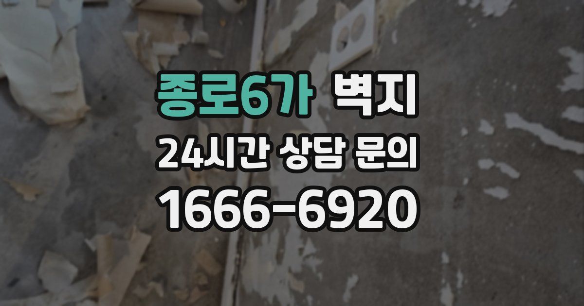 종로6가 벽지
