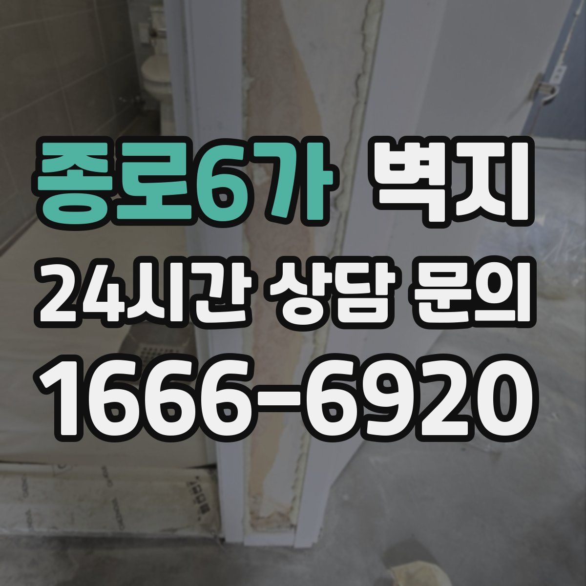 종로6가 벽지