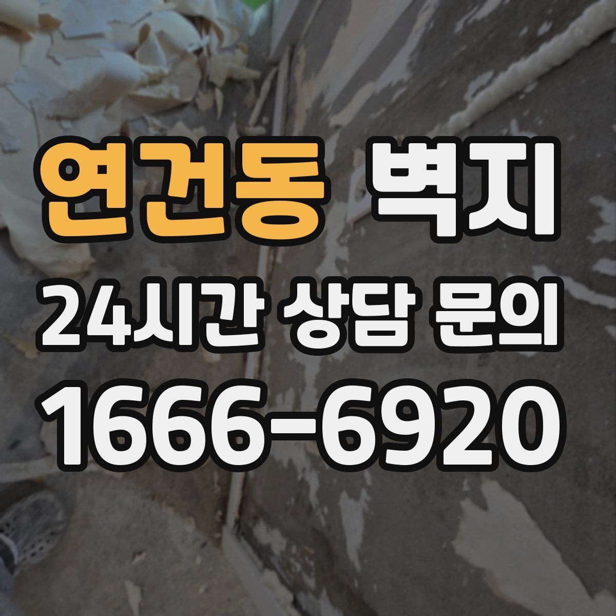 연건동 벽지