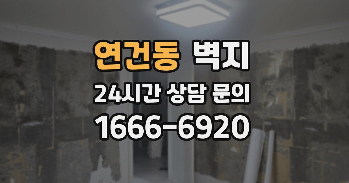 연건동 벽지