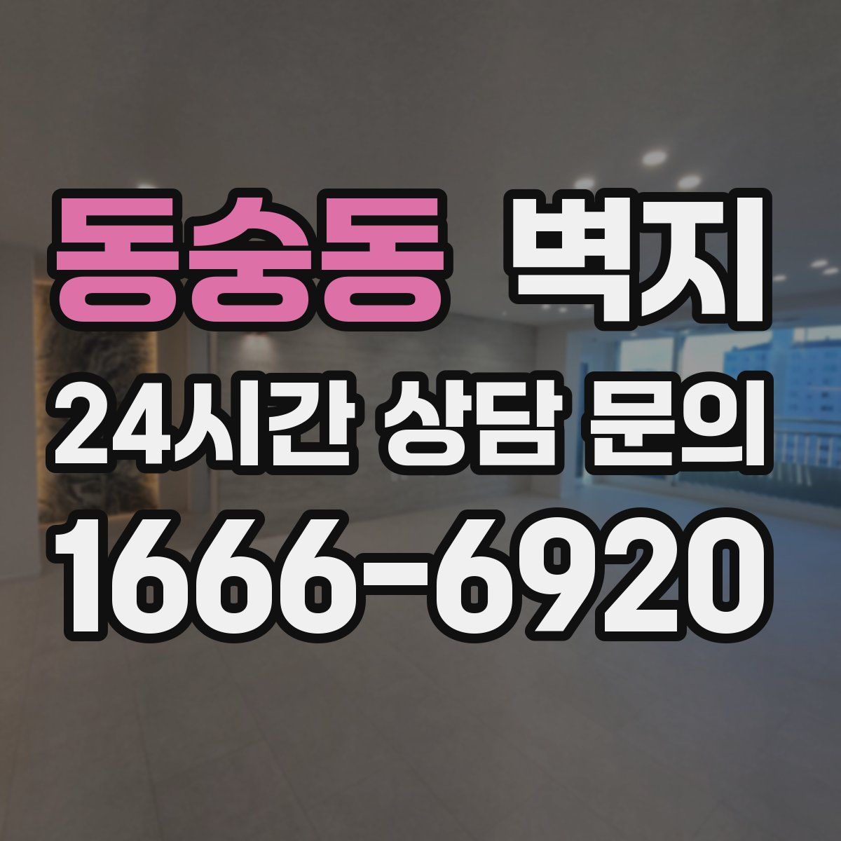동숭동 벽지
