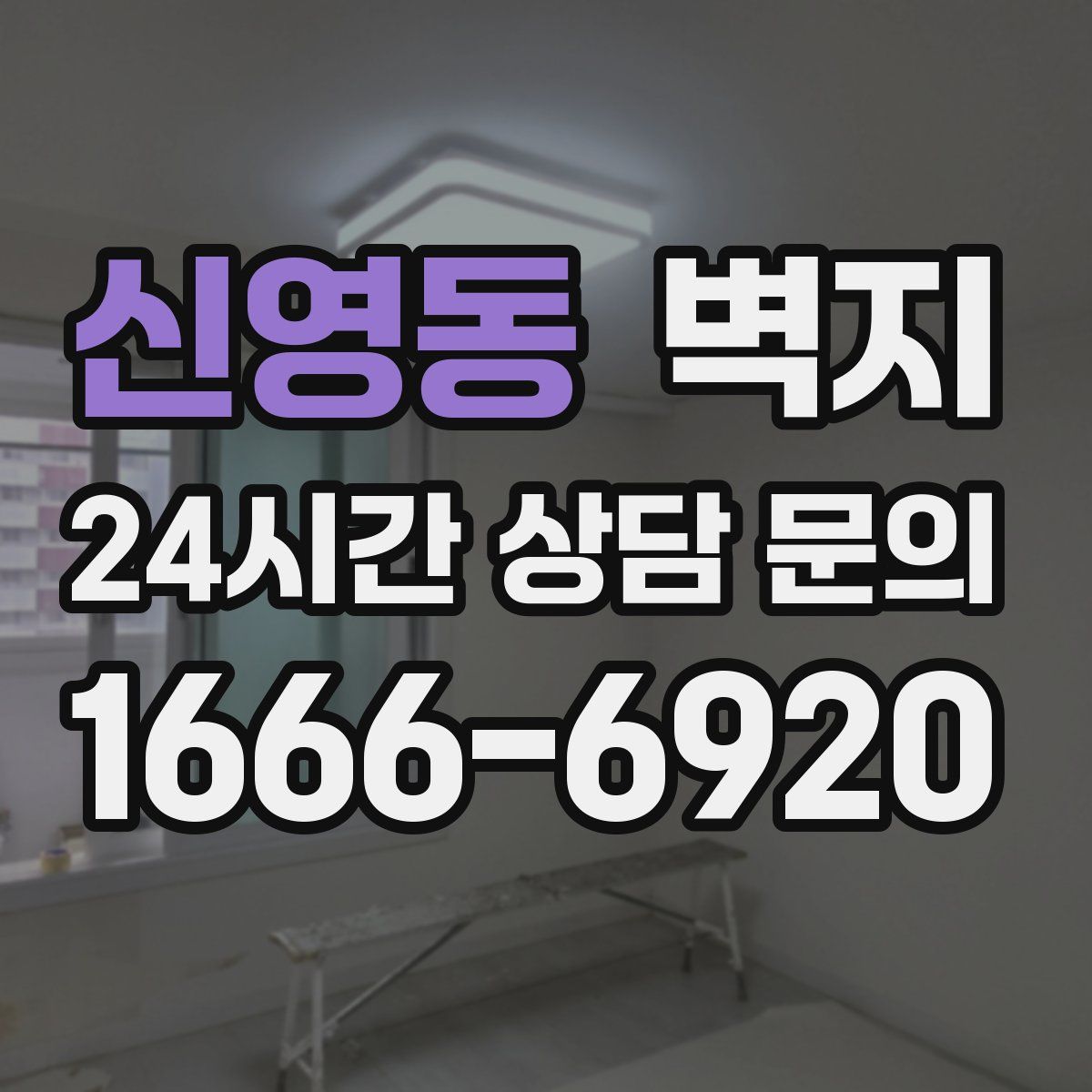 신영동 벽지