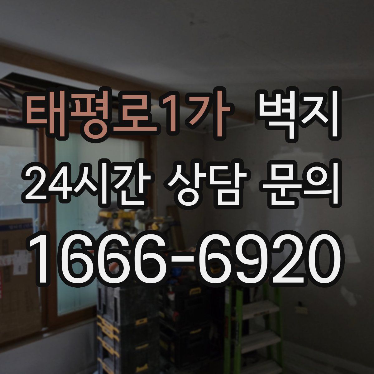 태평로1가 벽지