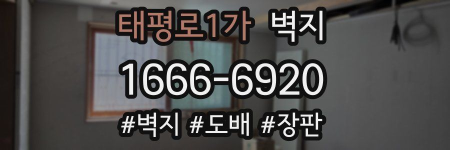 태평로1가 벽지