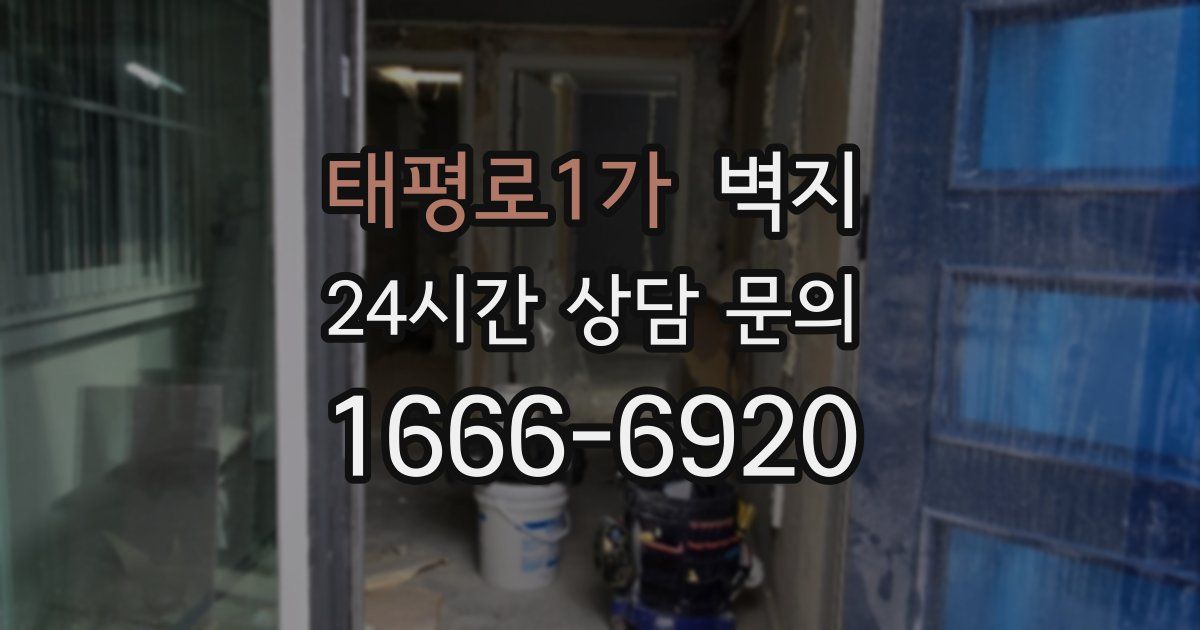 태평로1가 벽지