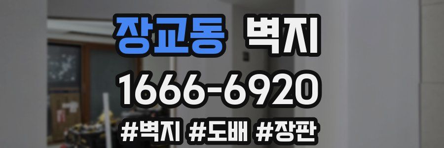 장교동 벽지