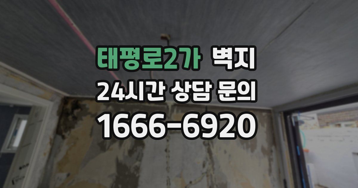 태평로2가 벽지