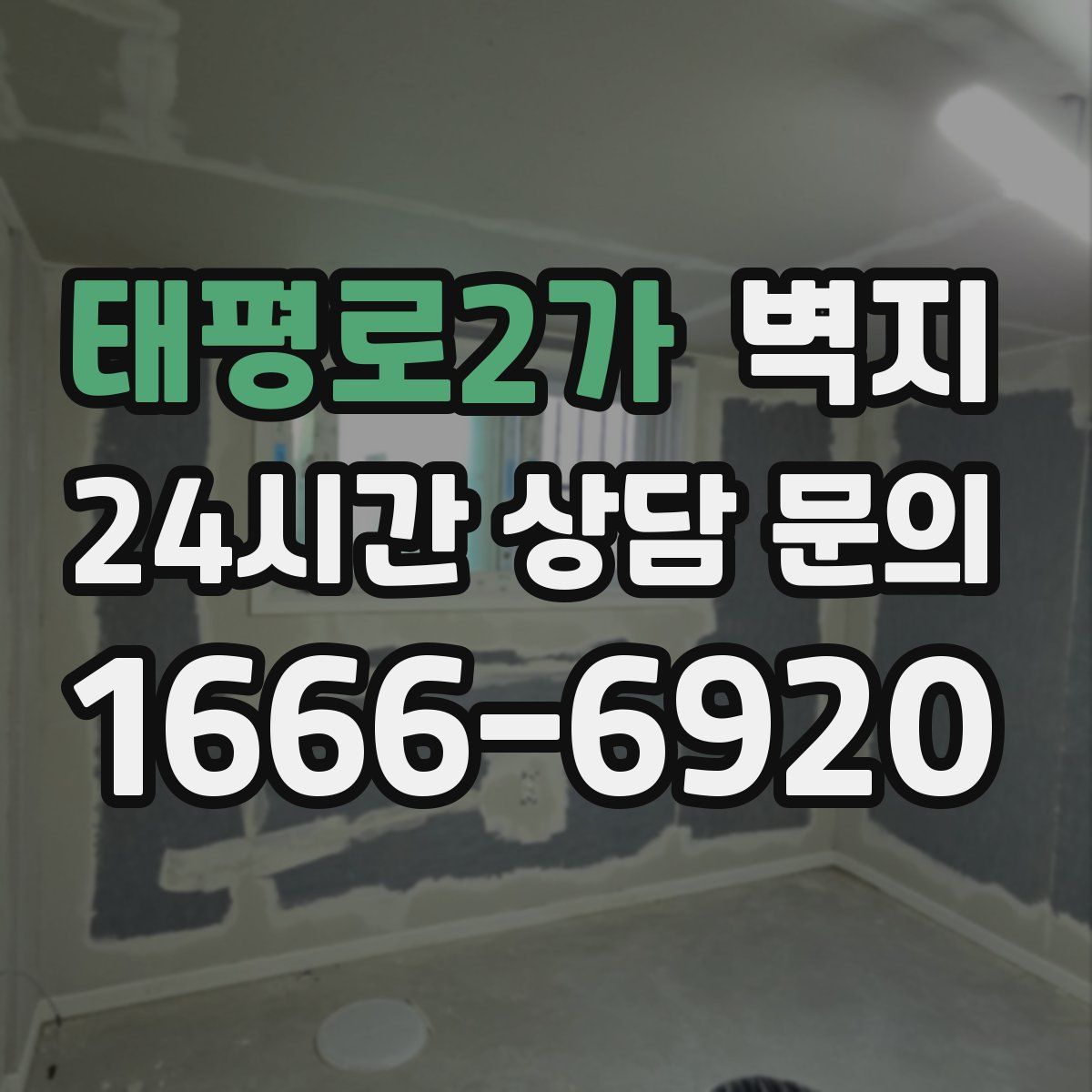 태평로2가 벽지