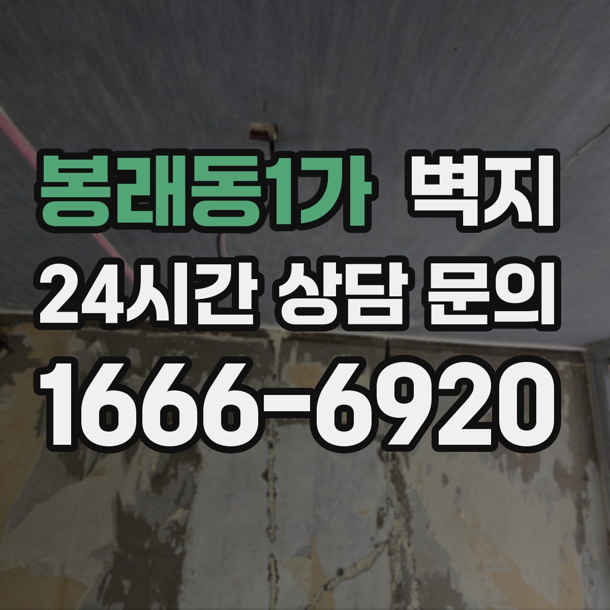 봉래동1가 벽지