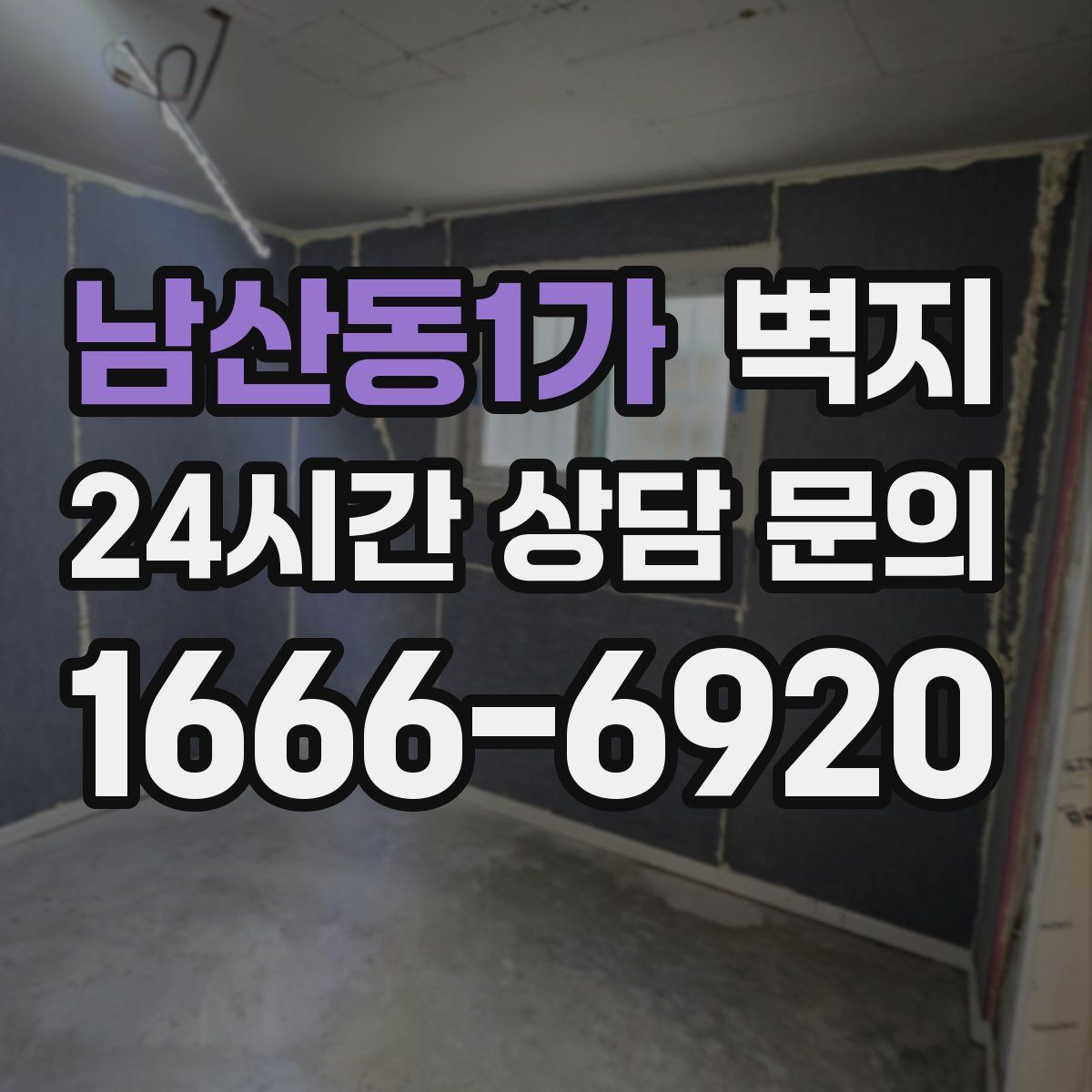 남산동1가 벽지