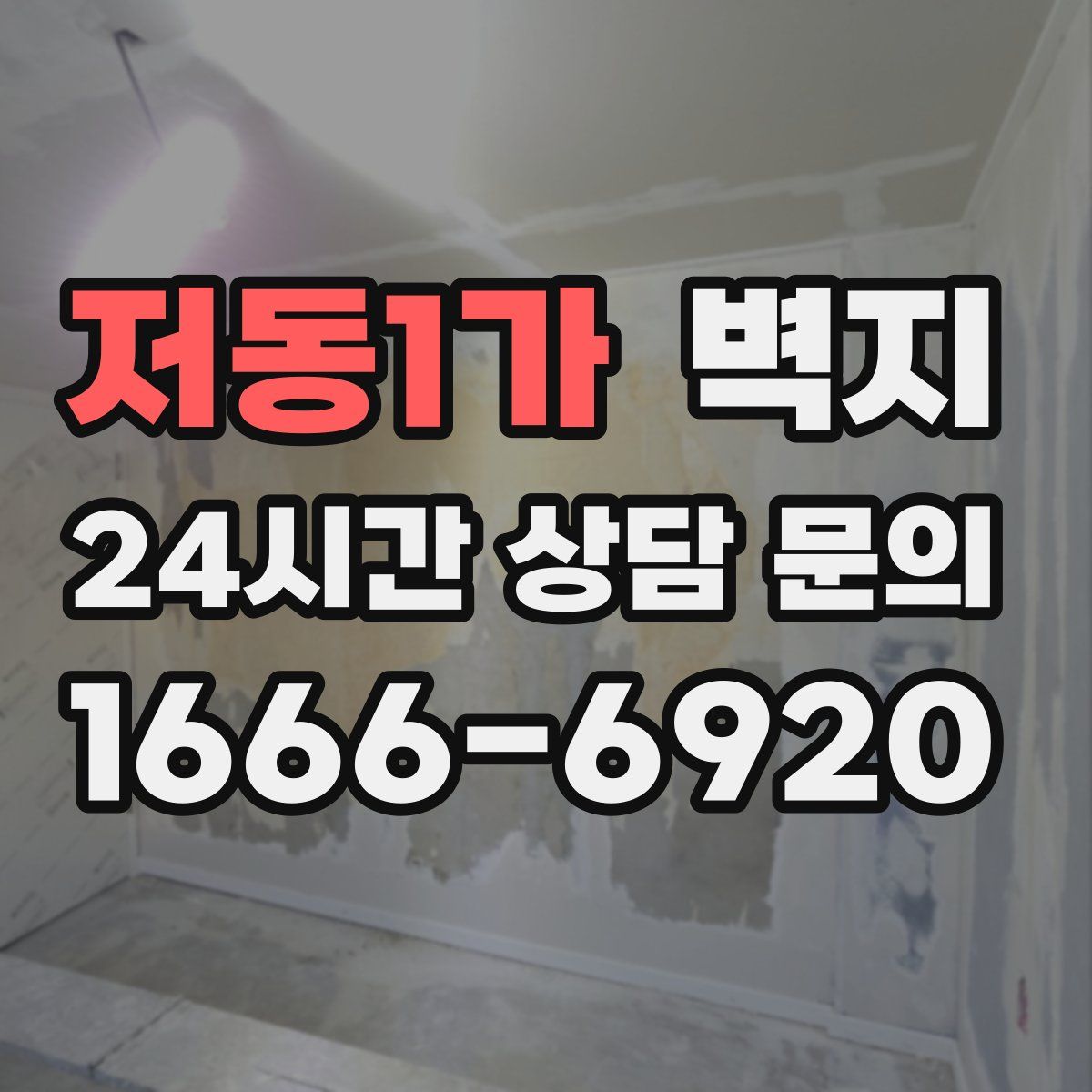 저동1가 벽지