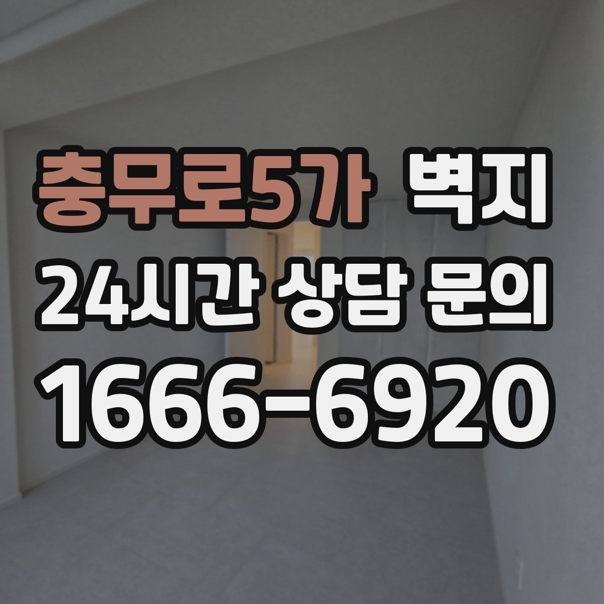 충무로5가 벽지