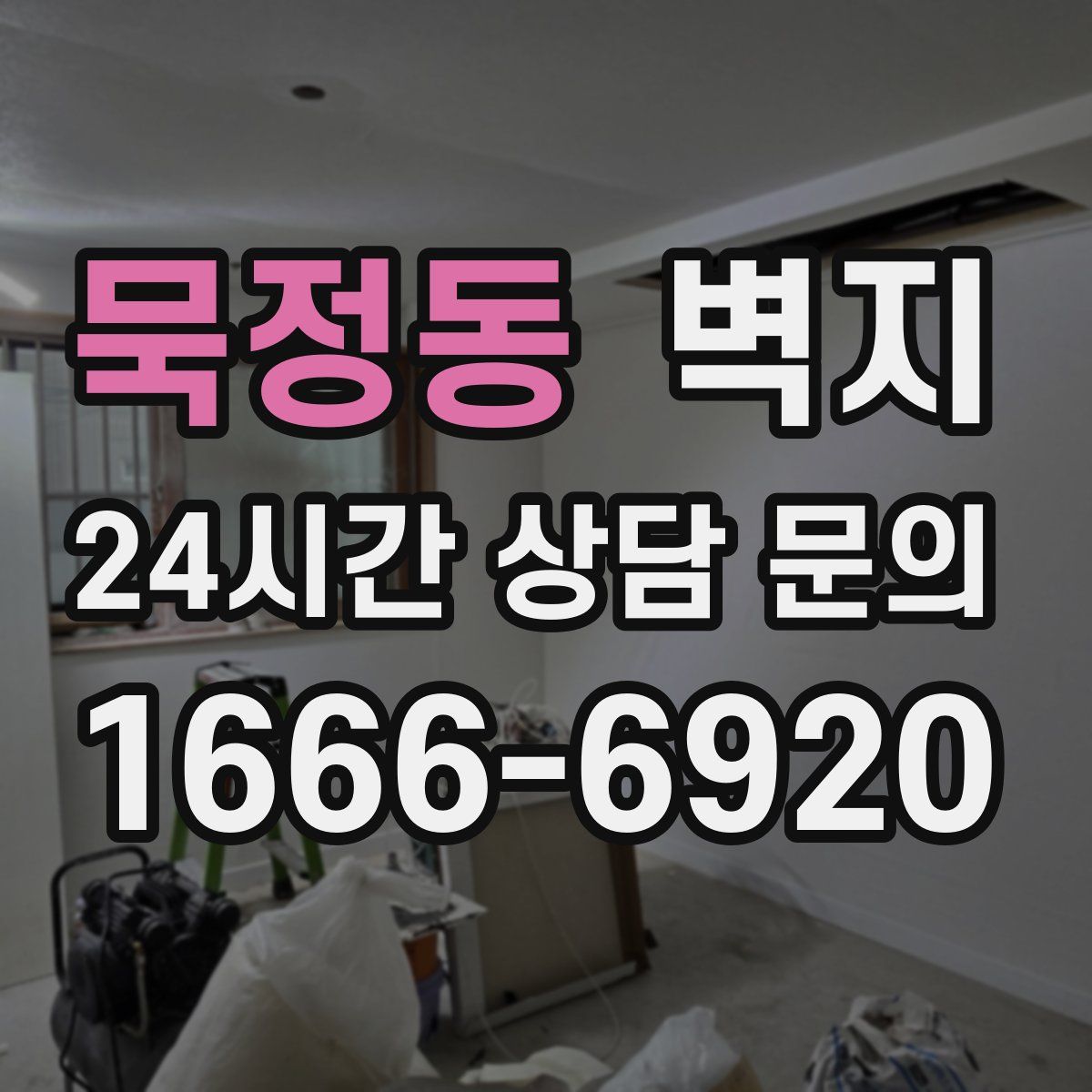 묵정동 벽지