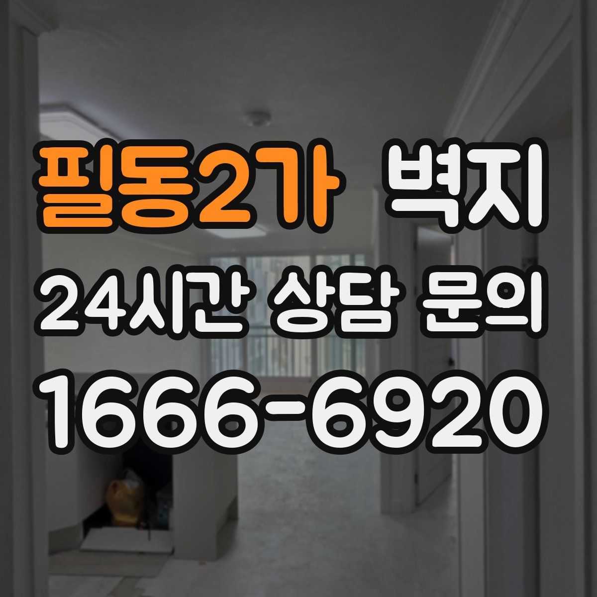 필동2가 벽지