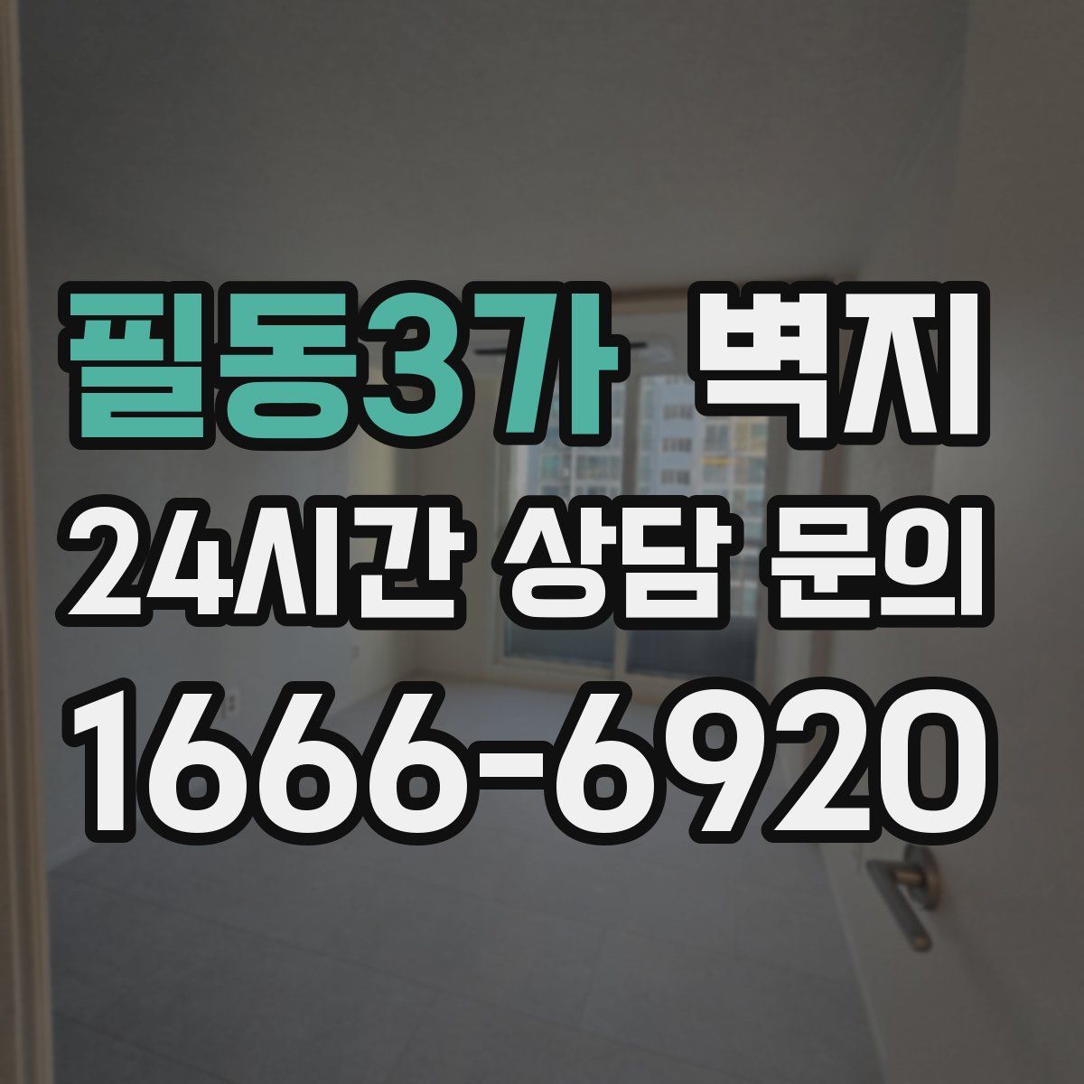 필동3가 벽지