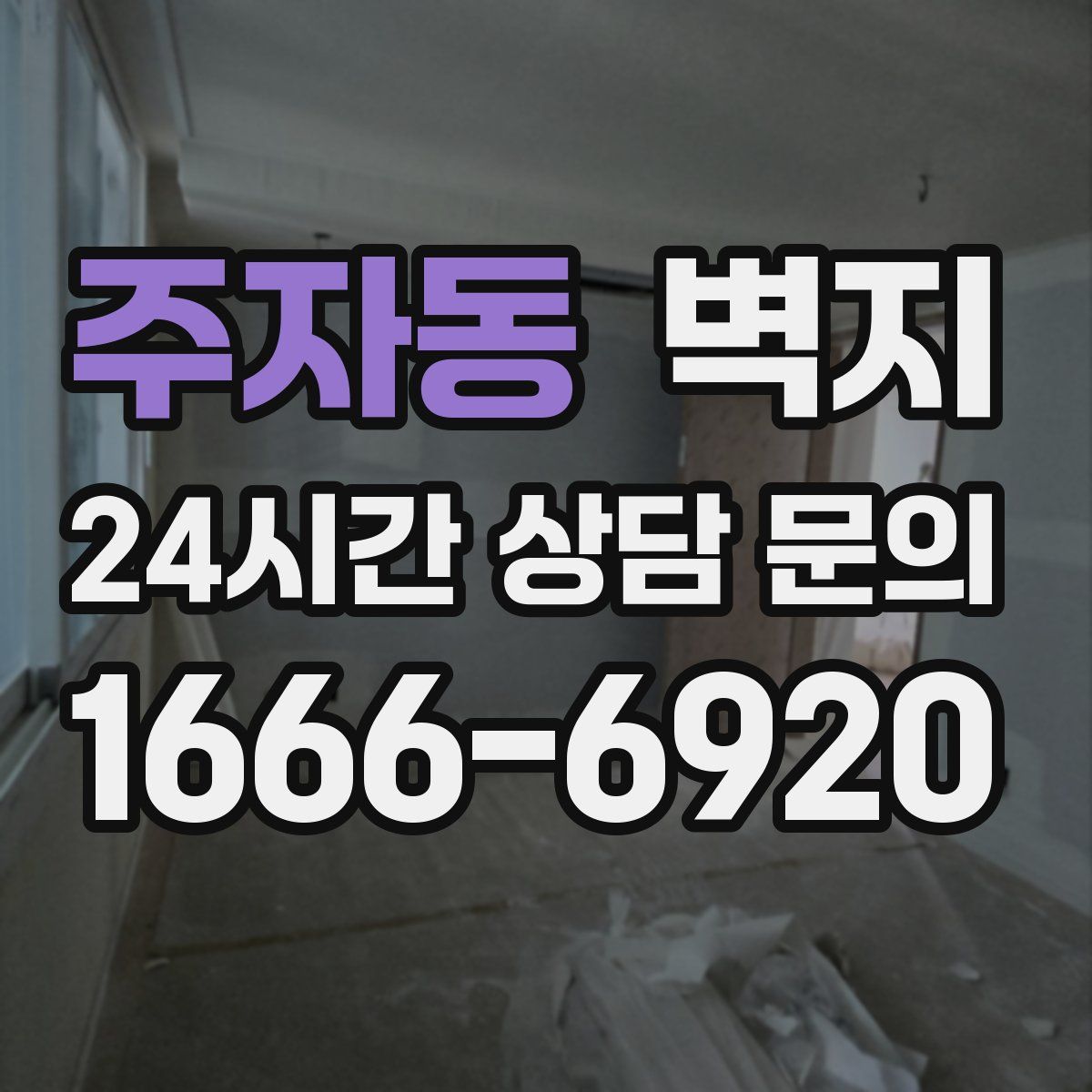 주자동 벽지