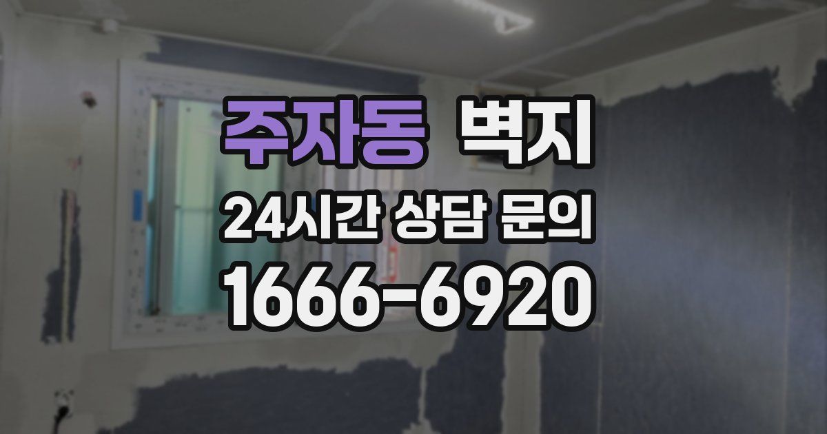 주자동 벽지