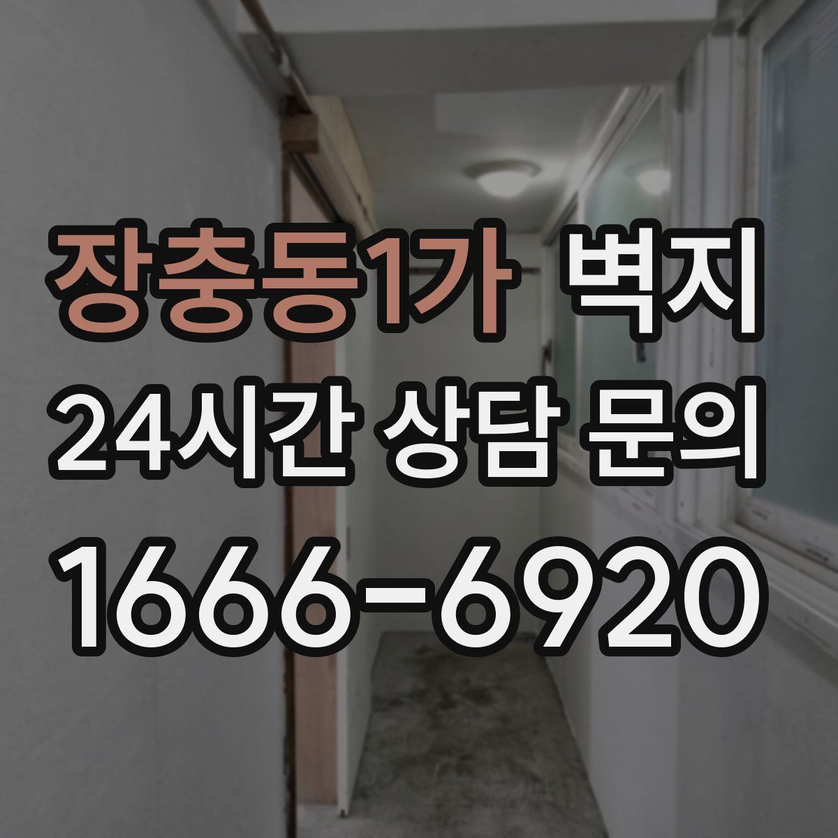장충동1가 벽지