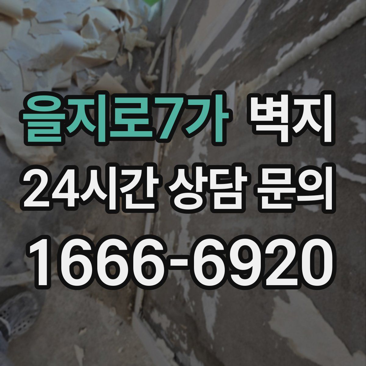을지로7가 벽지