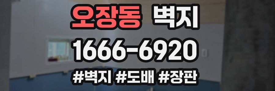 오장동 벽지
