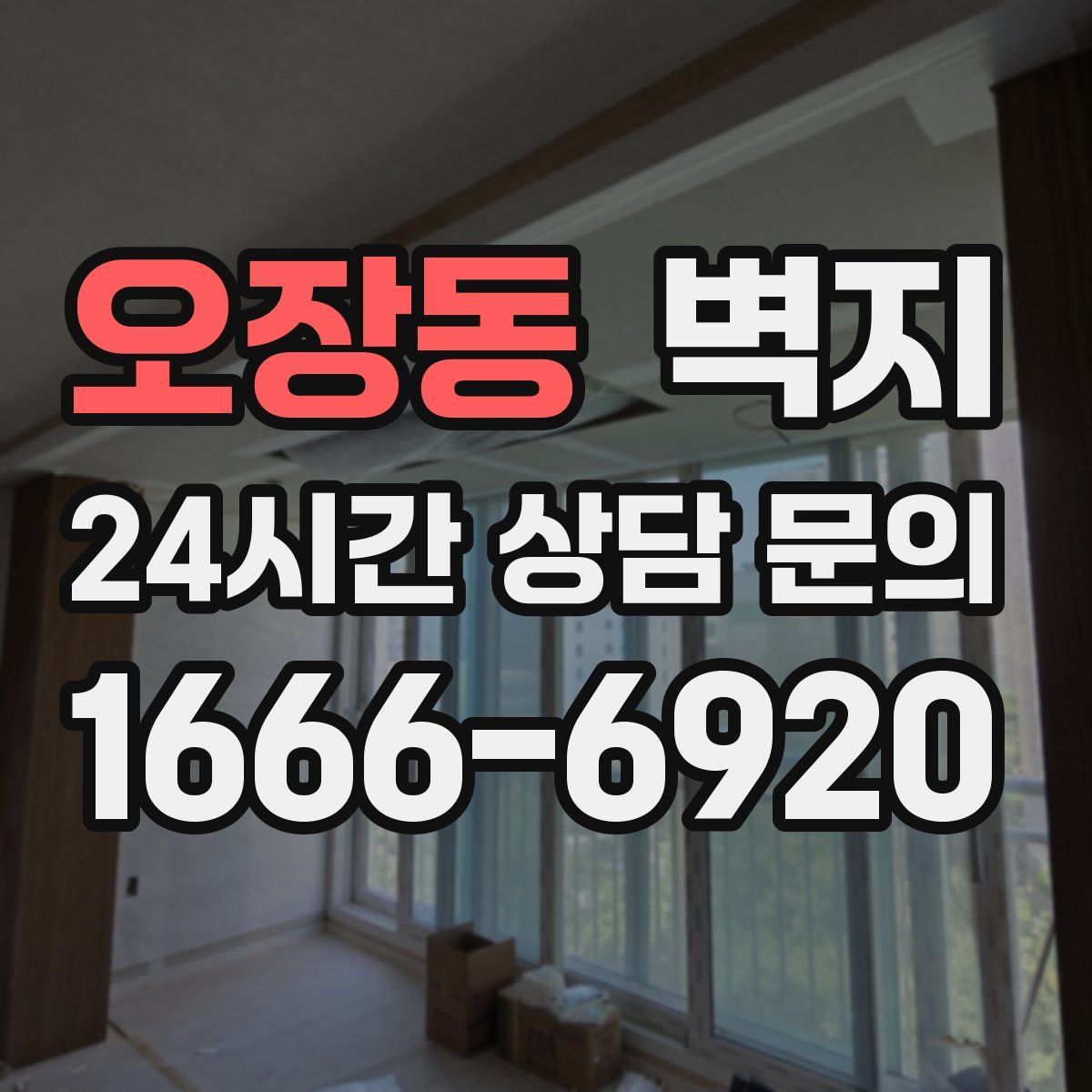 오장동 벽지