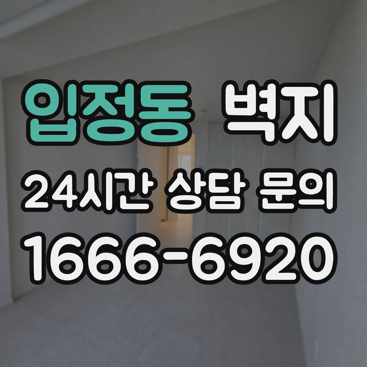 입정동 벽지