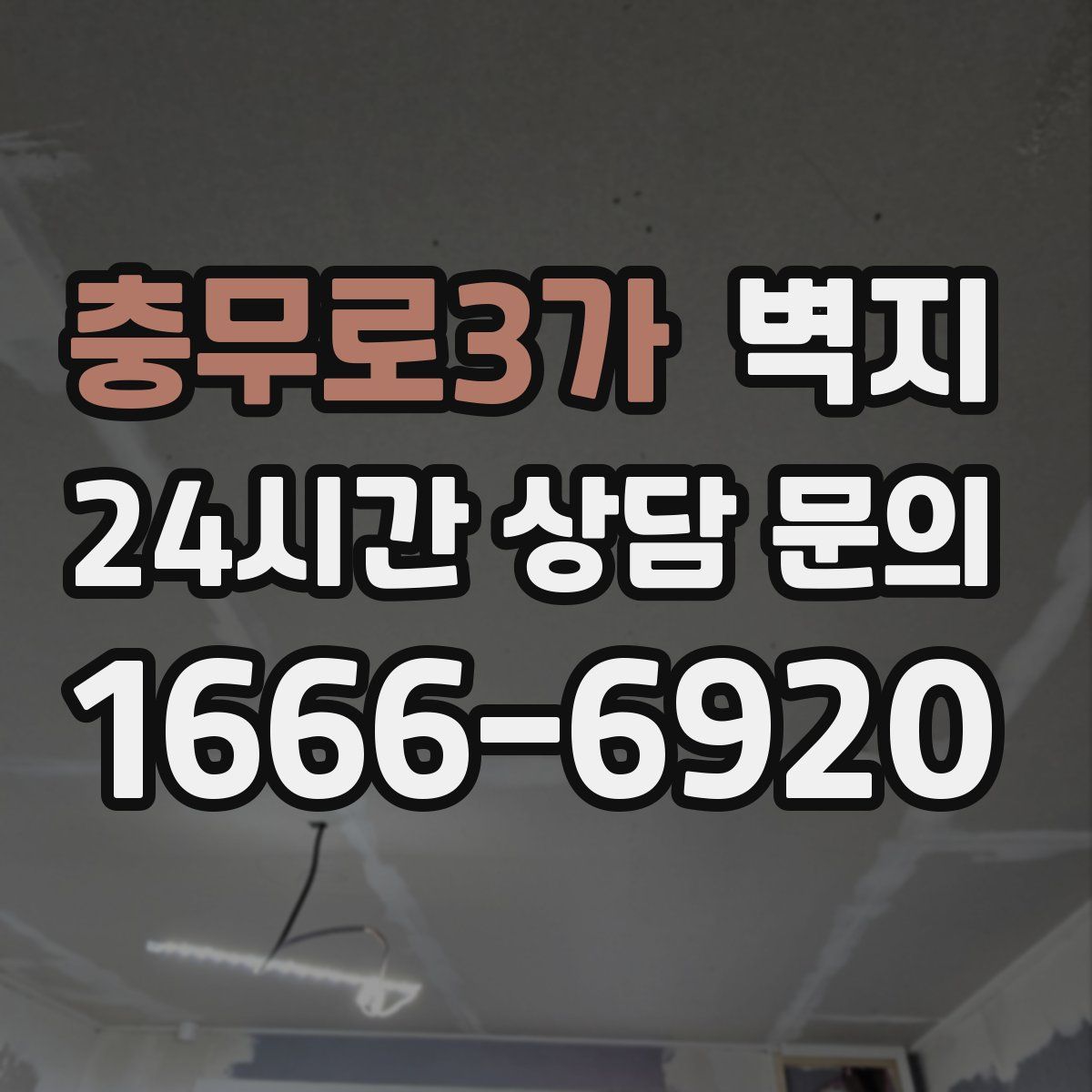 충무로3가 벽지
