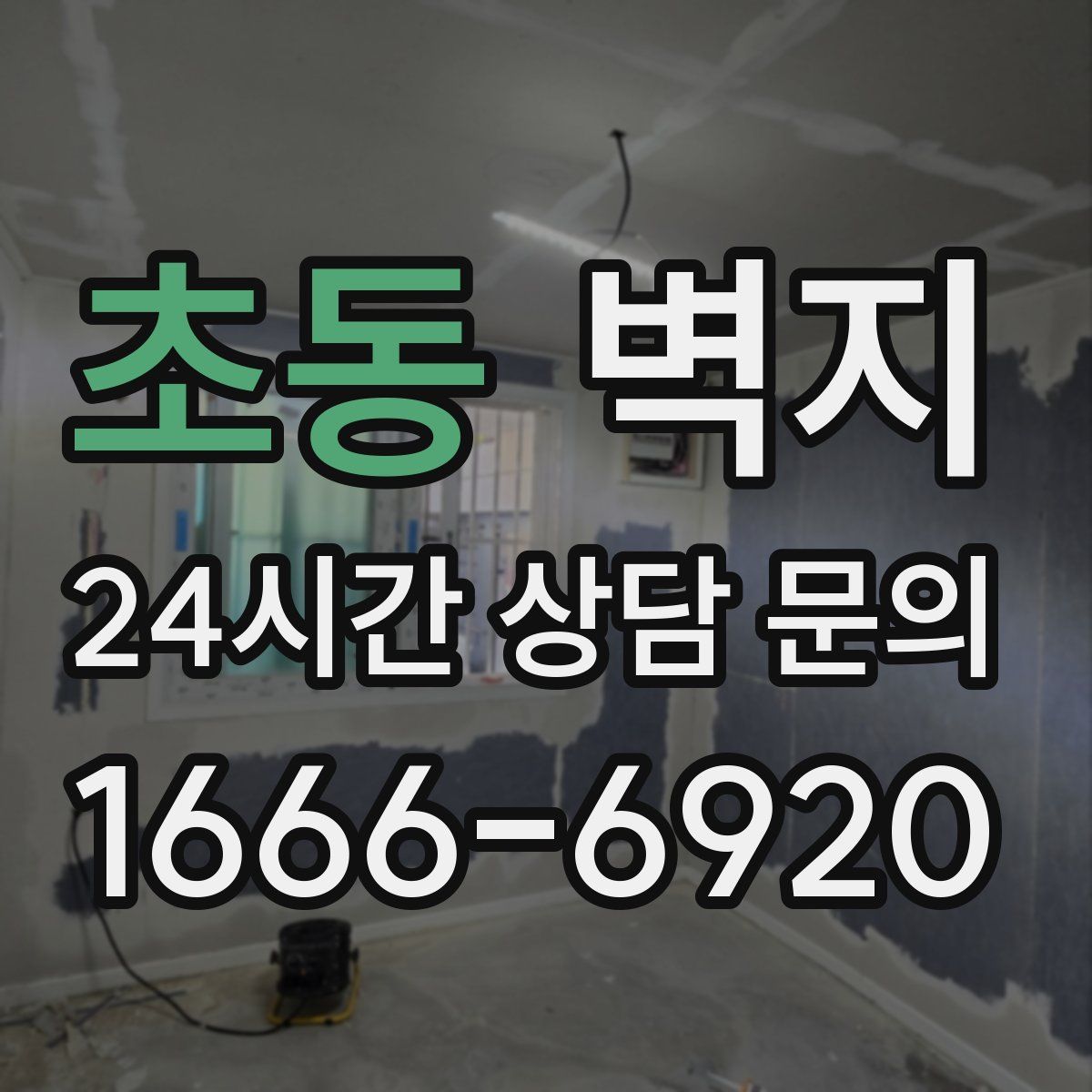 초동 벽지