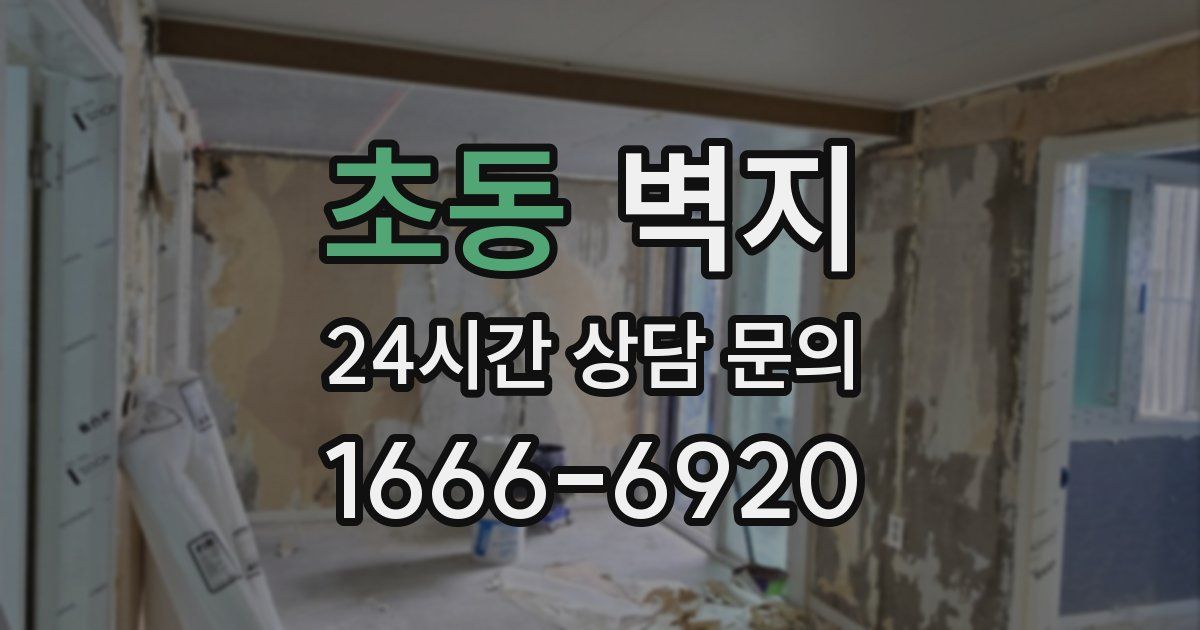 초동 벽지
