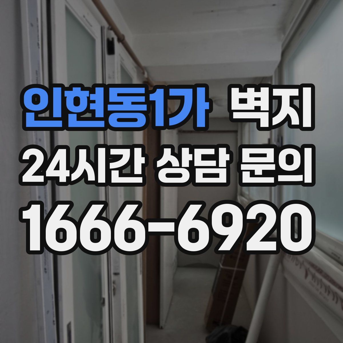 인현동1가 벽지