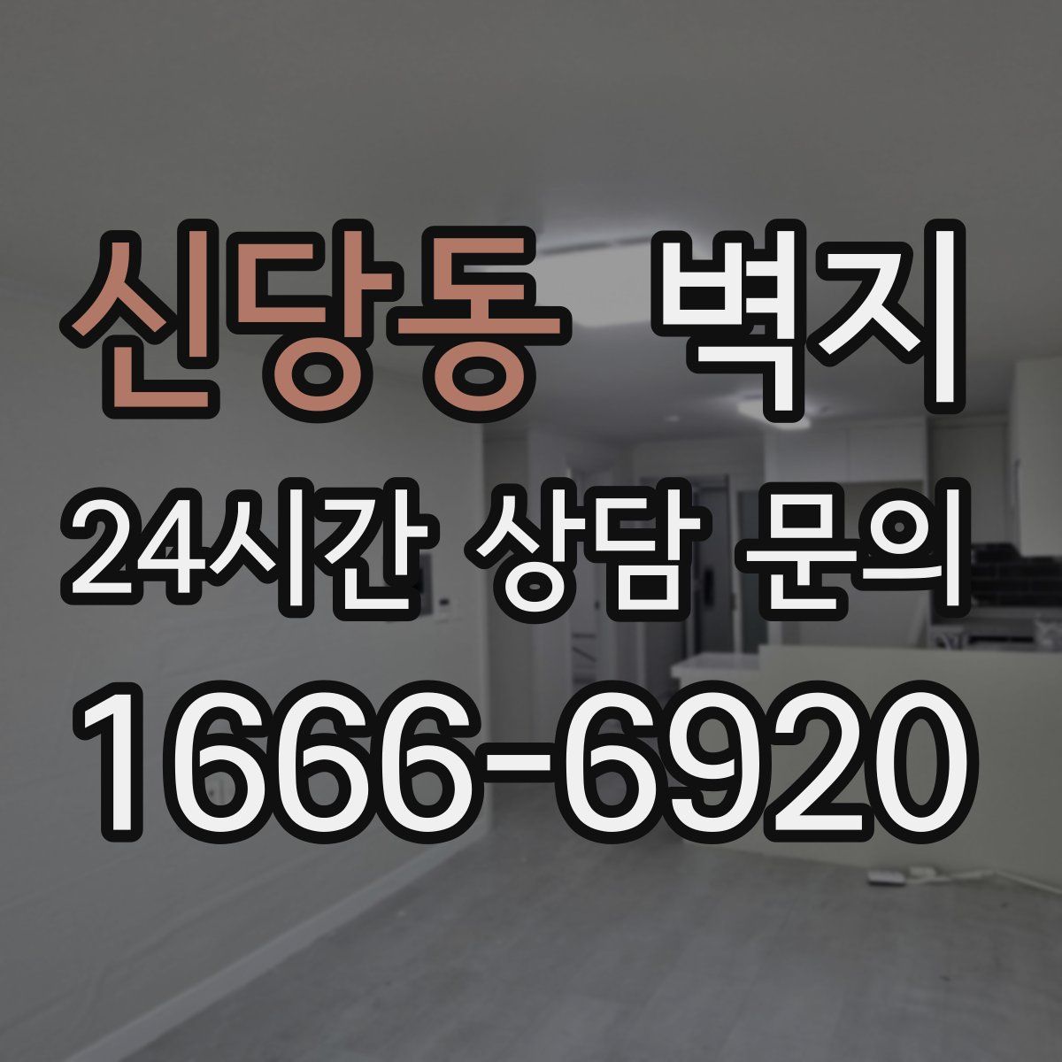 신당동 벽지