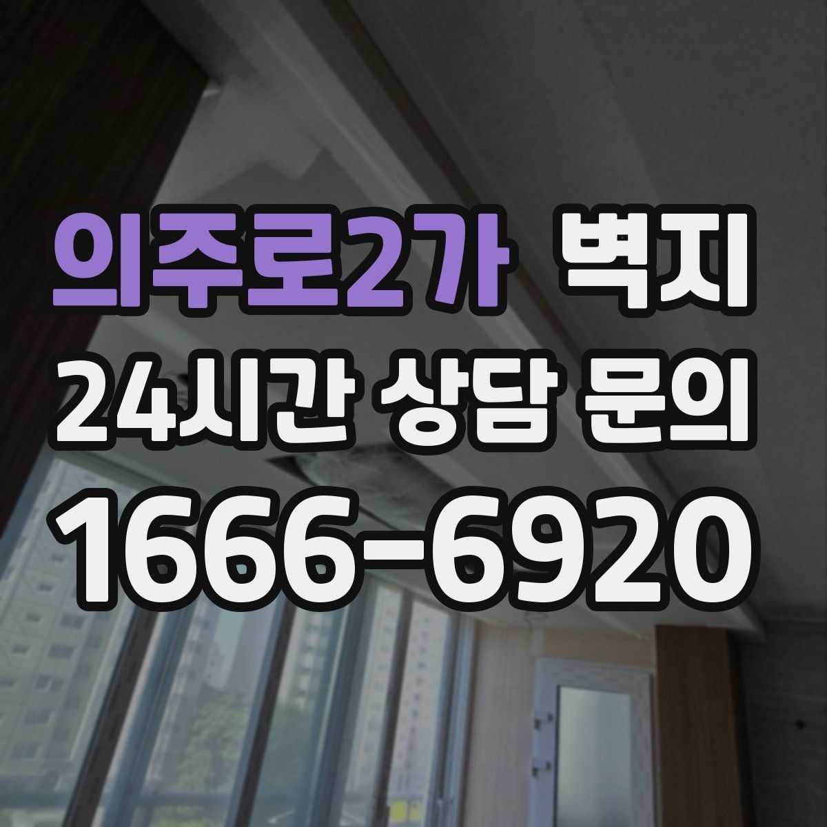 의주로2가 벽지