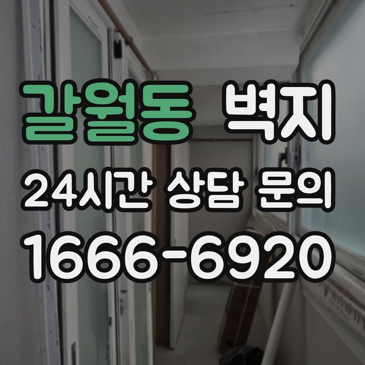 갈월동 벽지