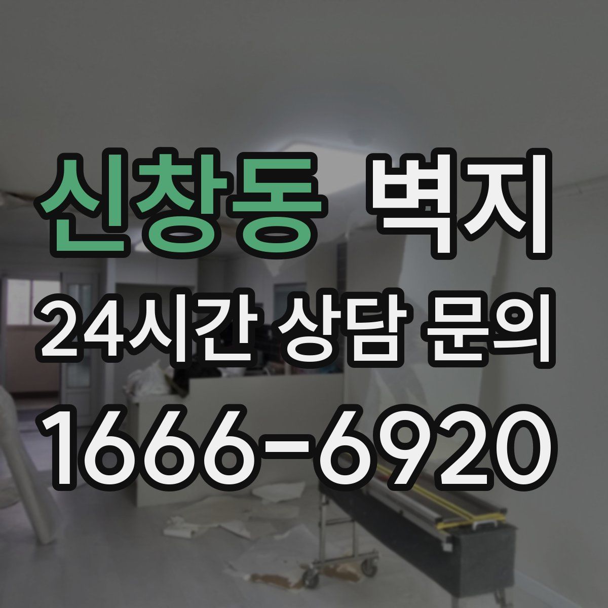 신창동 벽지