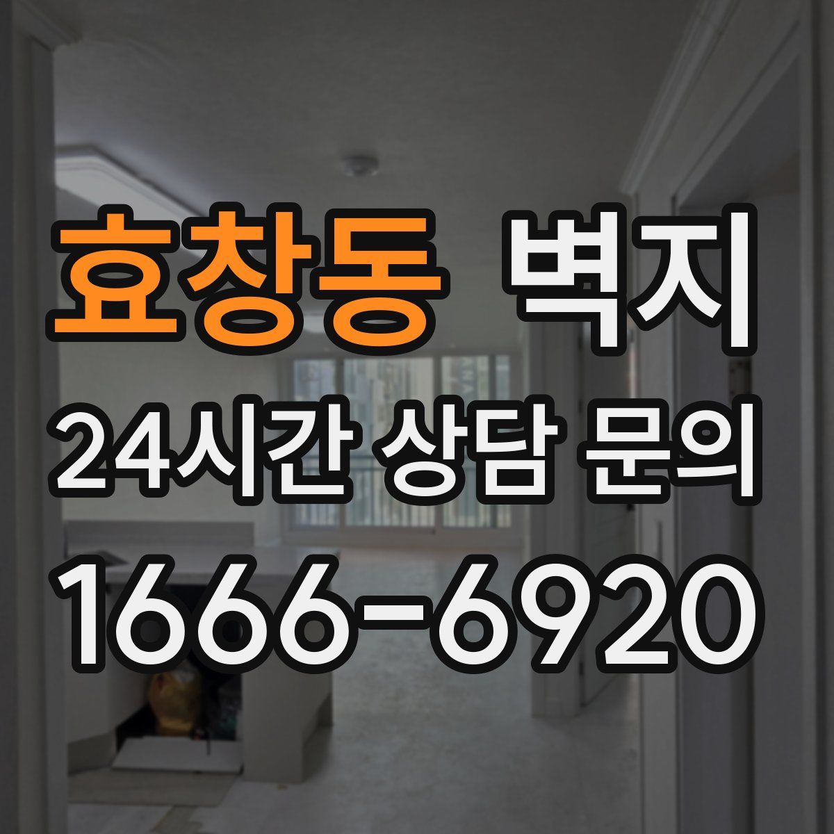 효창동 벽지