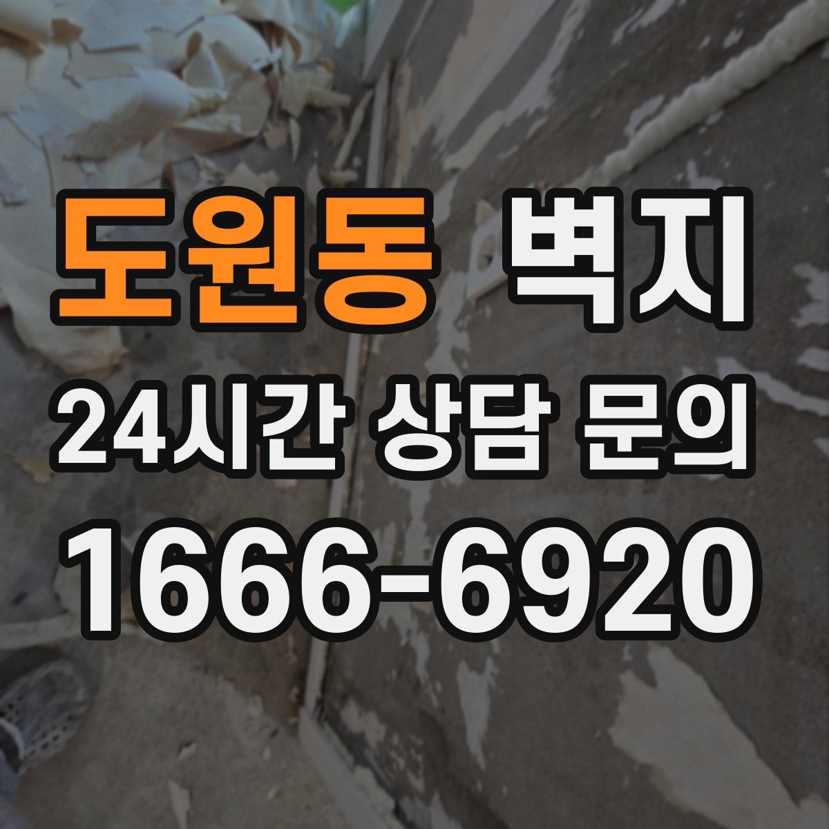 도원동 벽지