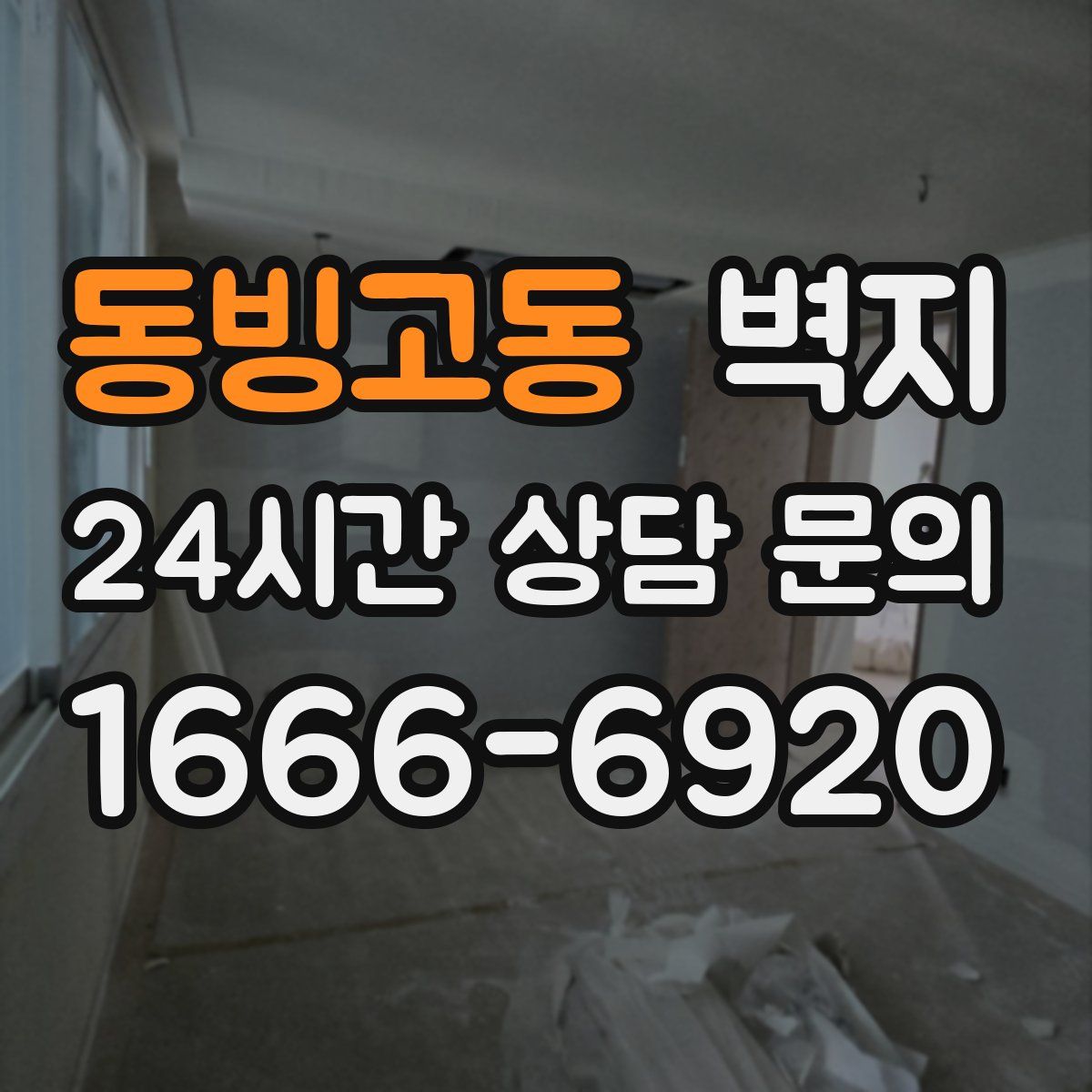 동빙고동 벽지