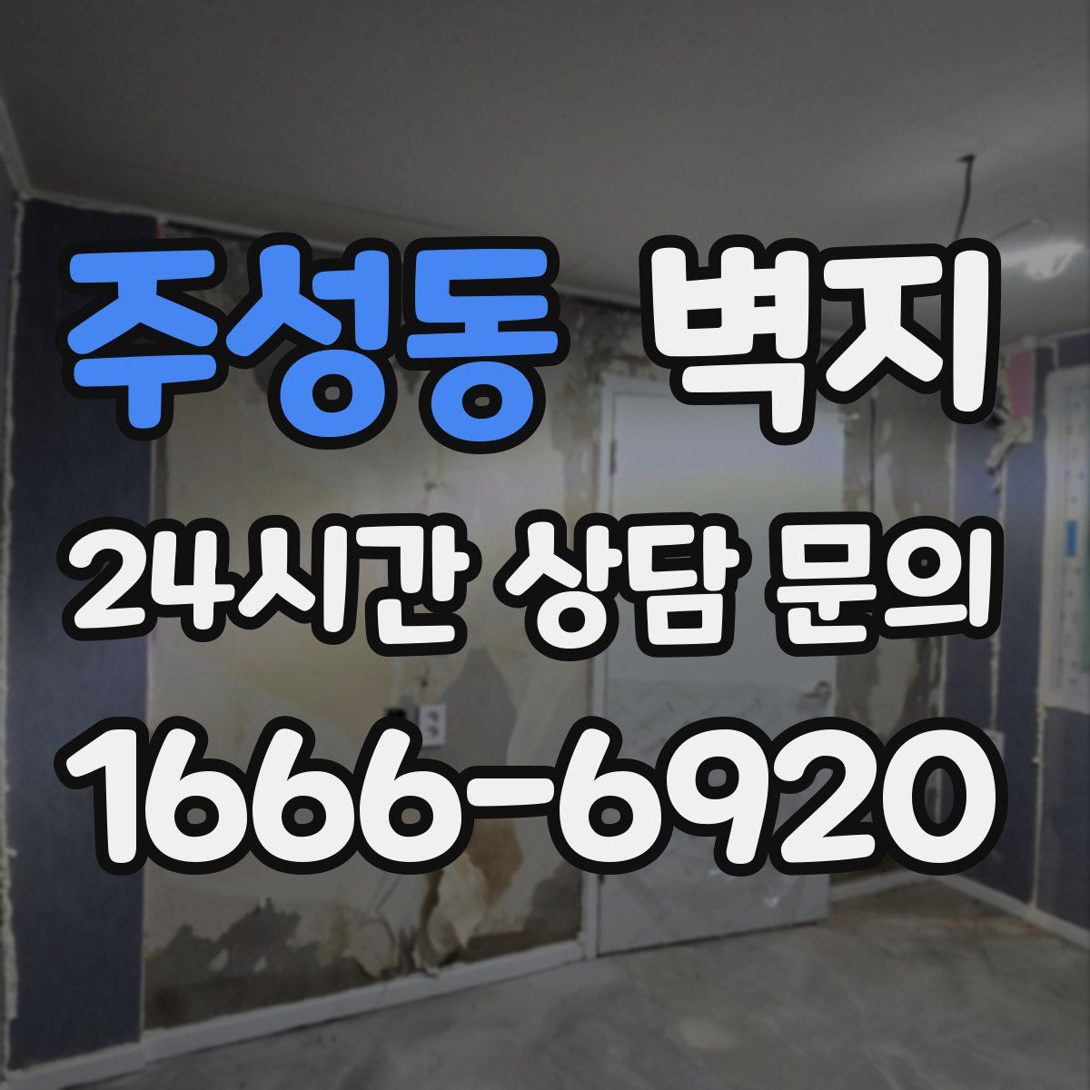 주성동 벽지
