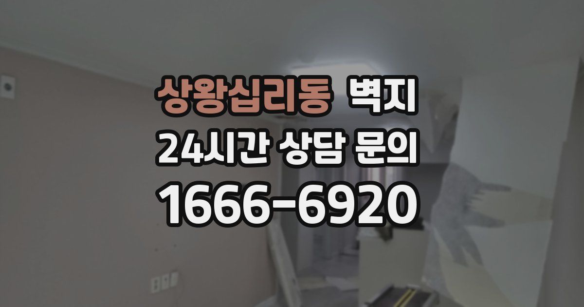 상왕십리동 벽지