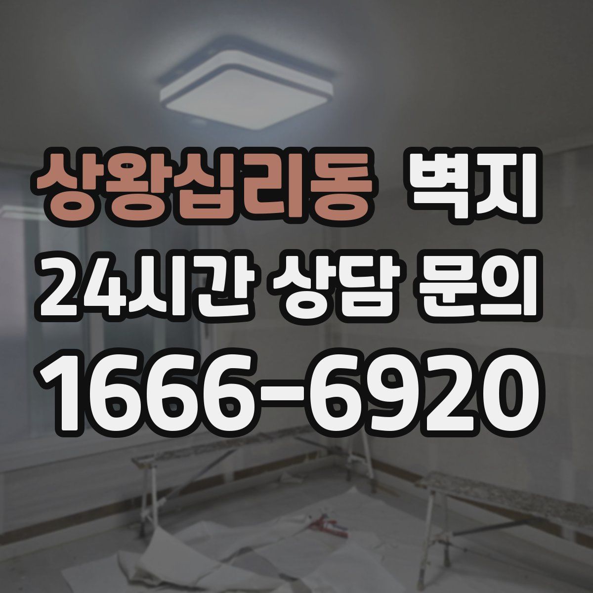 상왕십리동 벽지