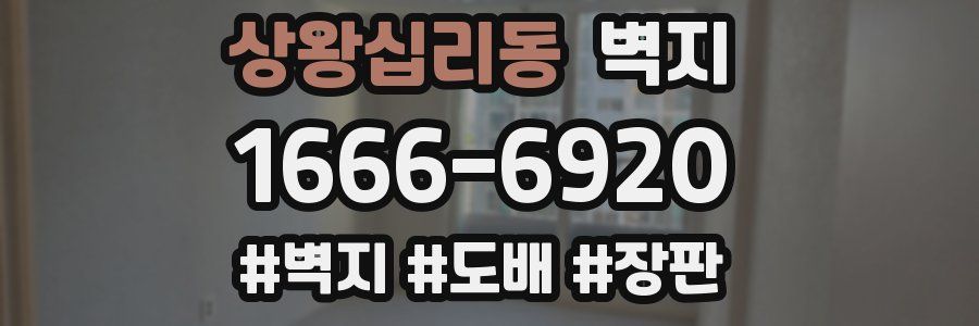 상왕십리동 벽지