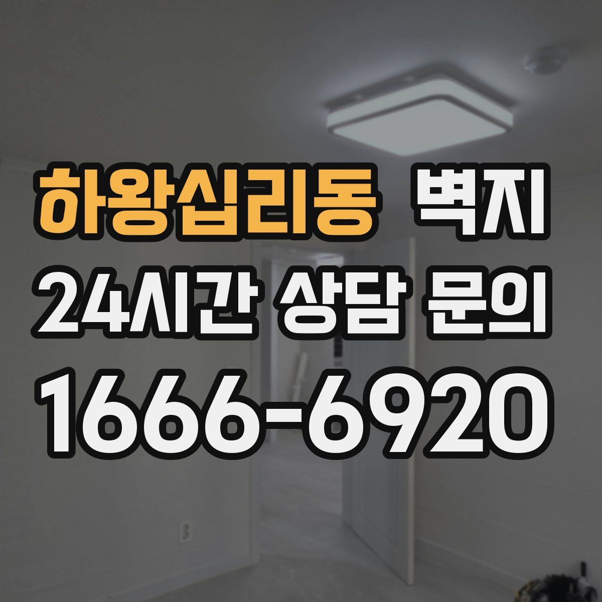 하왕십리동 벽지