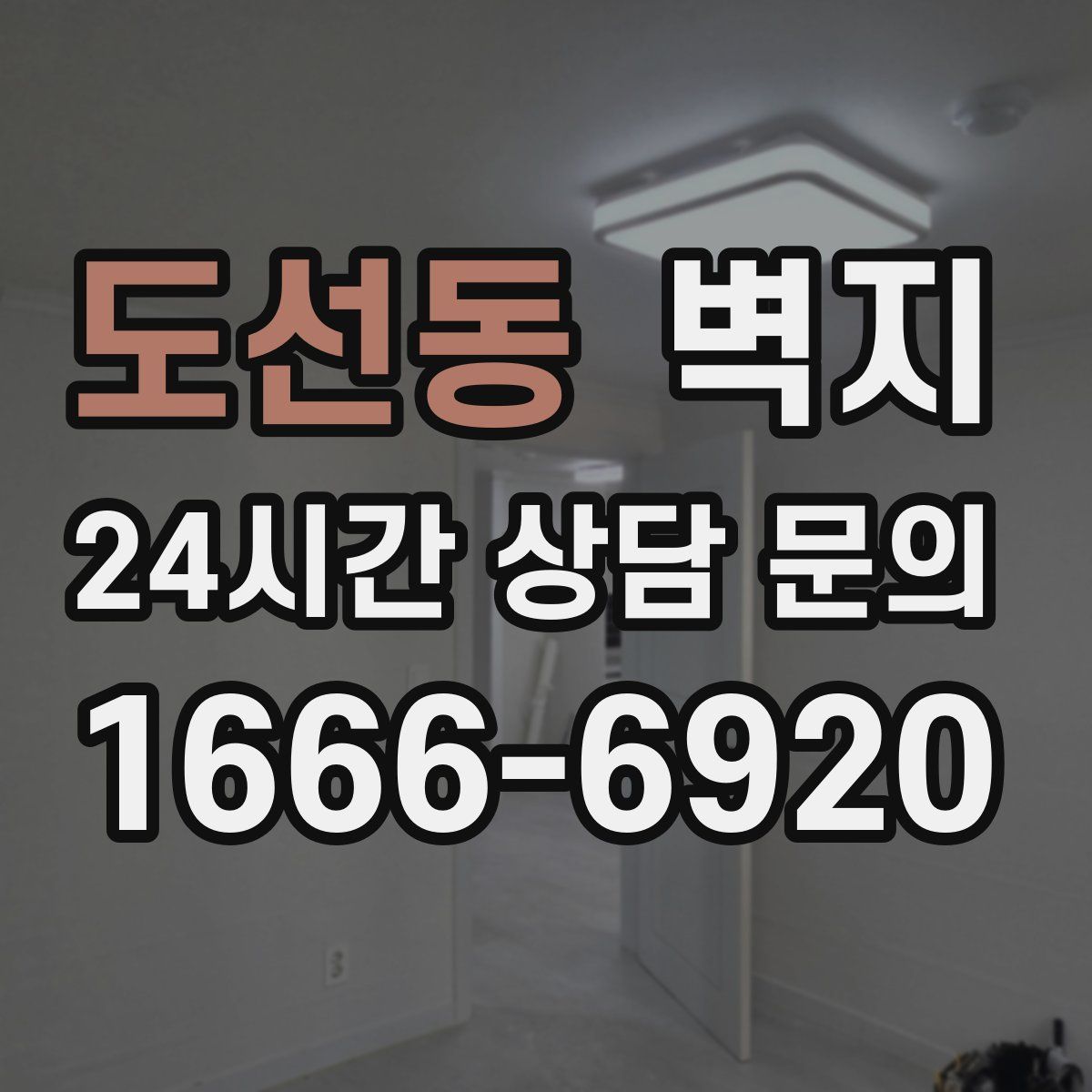 도선동 벽지