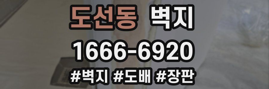 도선동 벽지