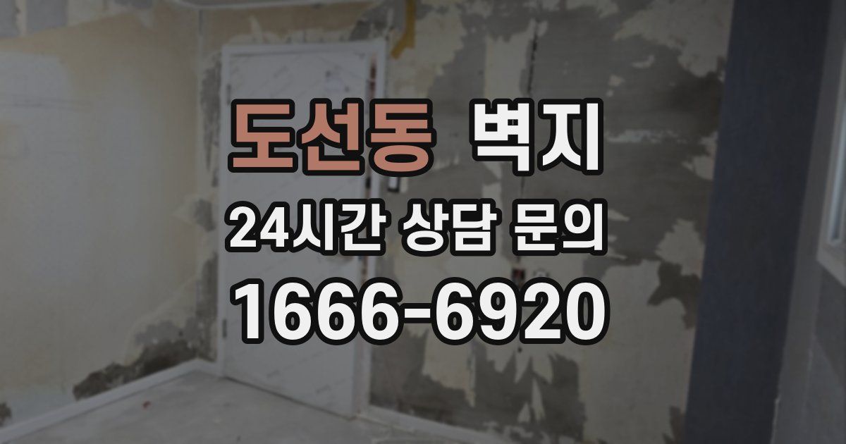 도선동 벽지