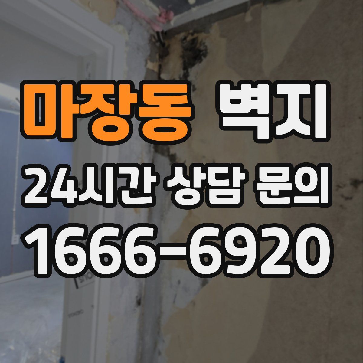 마장동 벽지