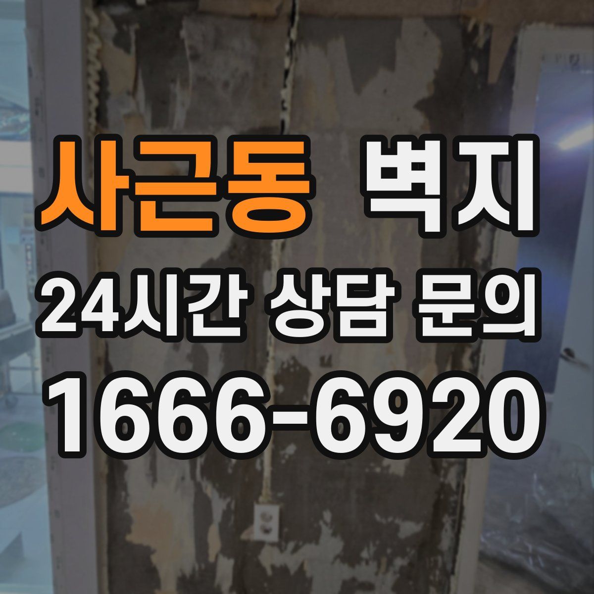사근동 벽지